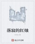 落寂的红烛章节列表