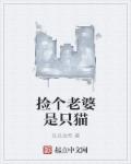 捡个老婆是只猫章节列表