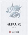 魂神天域章节列表