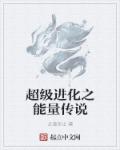 超级进化之能量传说章节列表