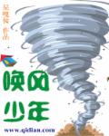 唤风少年章节列表