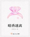 暗香迷离章节列表