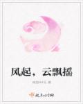风起，云飘摇章节列表