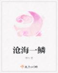 沧海一鳞章节列表