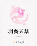 羽翼天禁章节列表