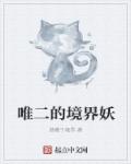 唯二的境界妖章节列表