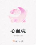 心血魂章节列表