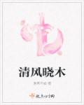 清风晓木章节列表