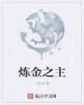 炼金之主章节列表