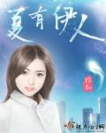 夏有伊人章节列表