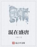 混在盛唐章节列表