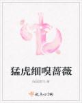猛虎细嗅蔷薇章节列表