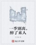 一季别离，醉了来人章节列表