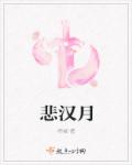悲汉月章节列表