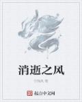 消逝之风章节列表
