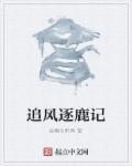 追风逐鹿记章节列表