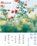 那些时光知道章节列表