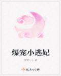 爆宠小逃妃章节列表
