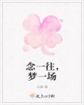 念一往，梦一场章节列表