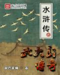 水浒传之武大郎传奇章节列表