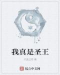 我真是圣王章节列表
