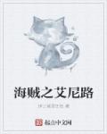 海贼之艾尼路章节列表