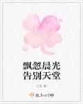 飘忽晨光告别天堂章节列表