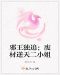邪王独追：废材逆天二小姐章节列表