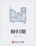 盼归期章节列表