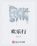 欢乐行章节列表