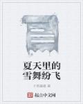 夏天里的雪舞纷飞章节列表