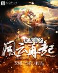 九龙决之风云再起章节列表