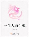 一生人两生魂章节列表