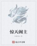 惊天阁主章节列表
