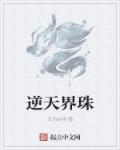 逆天界珠章节列表