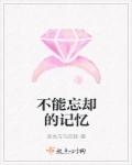 不能忘却的记忆章节列表