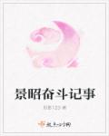 景昭奋斗记事章节列表