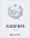 名震好莱坞章节列表