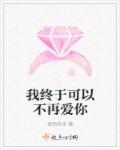 我终于可以不再爱你章节列表