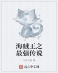 海贼王之最强传说章节列表