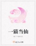 一猫当仙章节列表