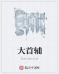 大首辅章节列表