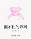 握不住的筹码章节列表