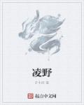 凌野章节列表