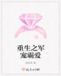 重生之军宠霸爱章节列表