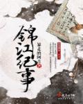 锦江纪事章节列表