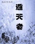 遁天者章节列表