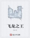 飞龙之王章节列表