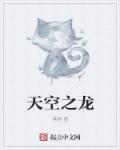 天空之龙章节列表