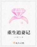 重生追妻记章节列表